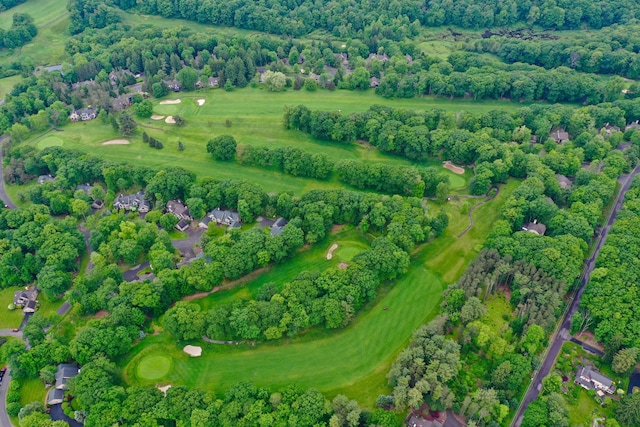 bird's eye view