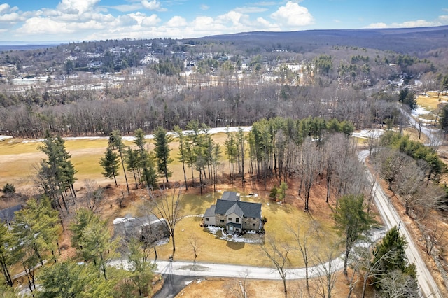 aerial view with a forest view