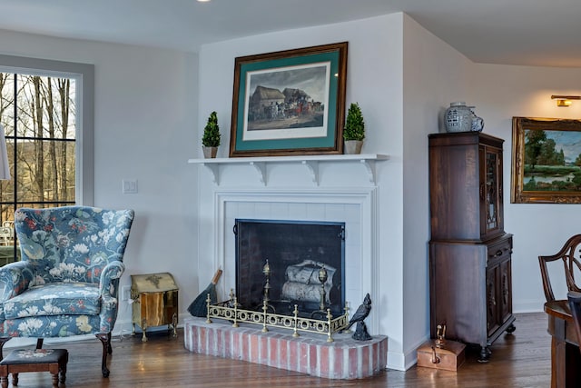 living room featuring a fireplace, wood finished floors, and baseboards