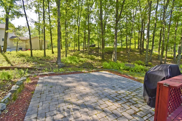 5453 Gingerbread Ln, East Stroudsburg, PA 18302 - view of patio featuring grilling area