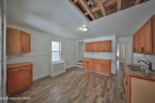 kitchen with dark wood-type flooring, a sink, baseboards, backsplash, and radiator heating unit