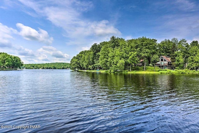 174 Bushkill Dr, Pocono Lake, PA 18347 - water view featuring a forest