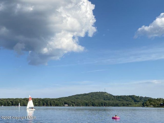 property view of water with a forest view