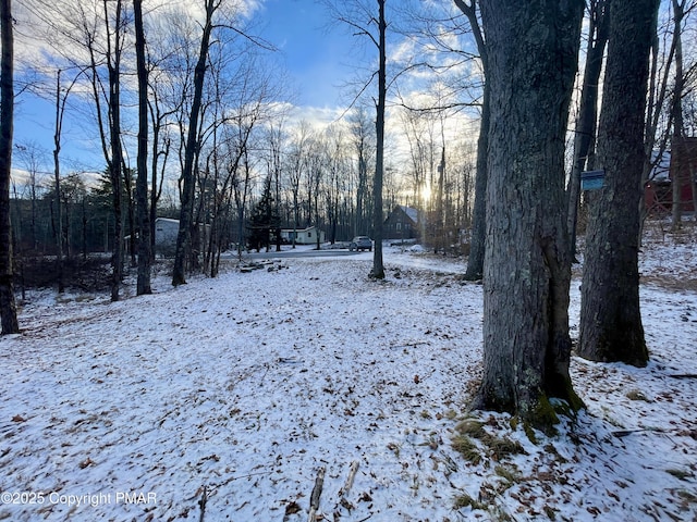 view of snow covered land