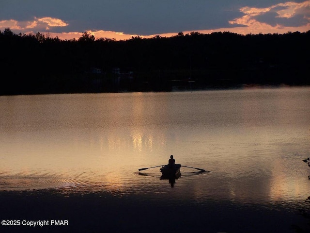 174 Bushkill Dr, Pocono Lake, PA 18347 - water view