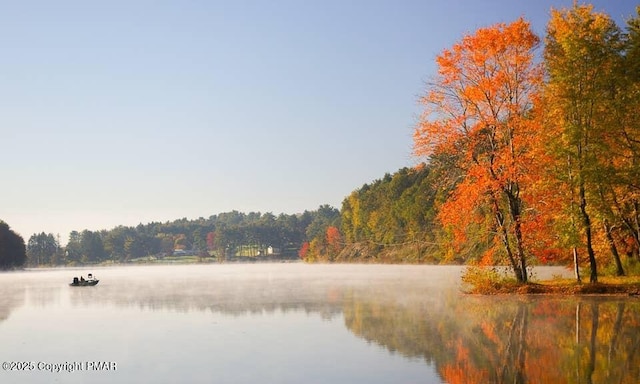 174 Bushkill Dr, Pocono Lake, PA 18347 - water view featuring a forest