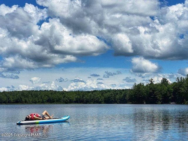 174 Bushkill Dr, Pocono Lake, PA 18347 - water view with a heavily wooded area