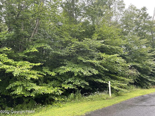 LOT33 Scenic Dr, Blakeslee PA, 18610 land for sale