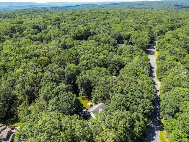 9 Hickory Dr, East Stroudsburg, PA 18301 - aerial overview of property's location with a forest