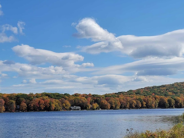 130 Michigana Dr, Pocono Lake, PA 18347 - property view of water featuring a wooded view