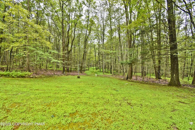 2603 Highview Dr, Brodheadsville, PA 18322 - photo 45