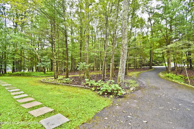 2603 Highview Dr, Brodheadsville, PA 18322 - photo 49