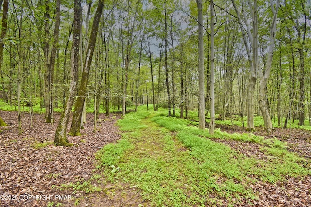 2603 Highview Dr, Brodheadsville, PA 18322 - photo 46