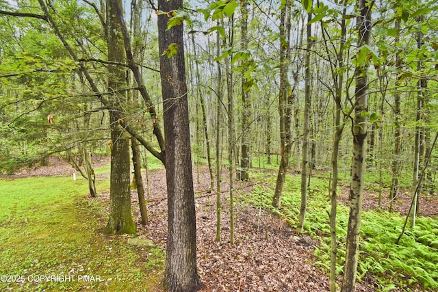 2603 Highview Dr, Brodheadsville, PA 18322 - photo 47