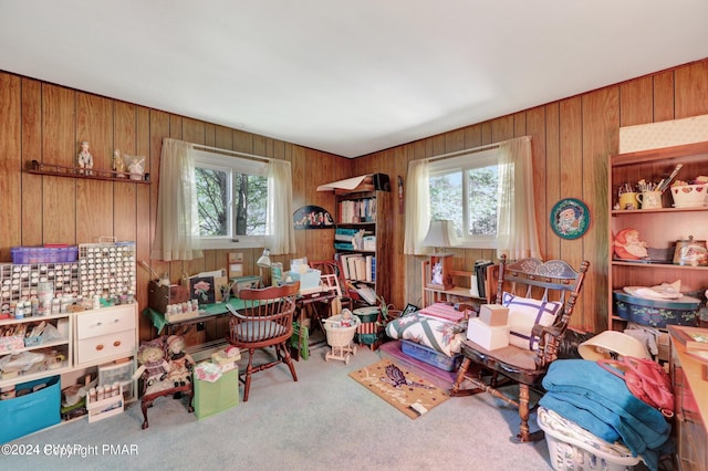 carpeted office space with wooden walls and a healthy amount of sunlight