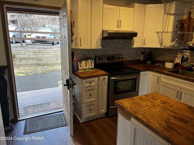 kitchen featuring butcher block countertops, a sink, stainless steel range with electric stovetop, under cabinet range hood, and backsplash