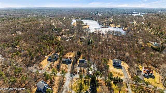 aerial view with a water view and a wooded view