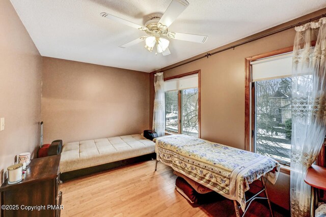 bedroom featuring ceiling fan and light hardwood / wood-style floors