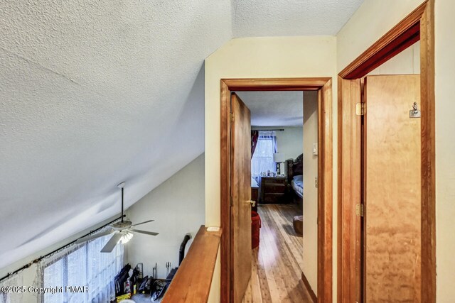 hallway with lofted ceiling, hardwood / wood-style flooring, and a textured ceiling