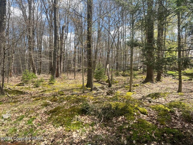 Owassa Dr, Pocono Lake PA, 18347 land for sale