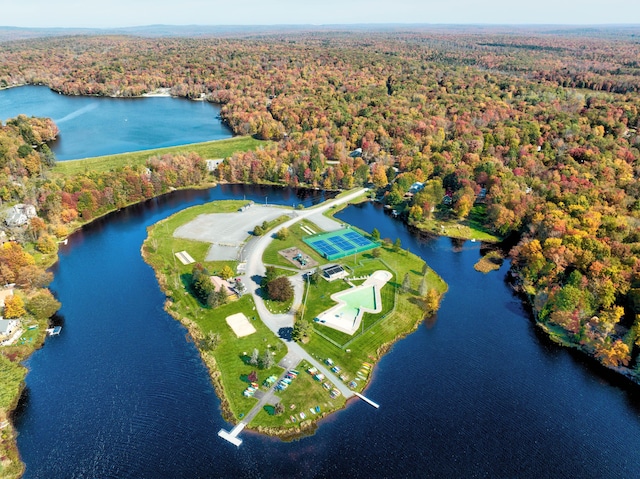 203 Wyomissing Dr, Pocono Lake, PA 18347 - aerial view of property's location featuring a heavily wooded area and a nearby body of water