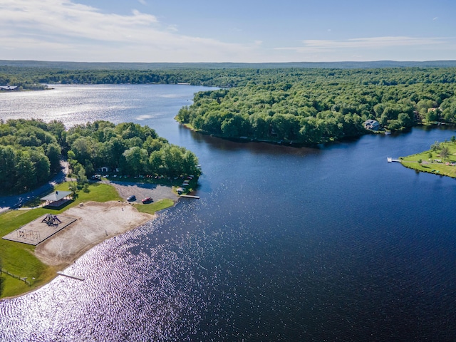 203 Wyomissing Dr, Pocono Lake, PA 18347 - drone / aerial view of a nearby body of water and a forest