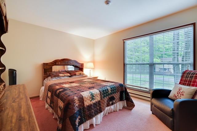 203 Wyomissing Dr, Pocono Lake, PA 18347 - carpeted bedroom with baseboard heating