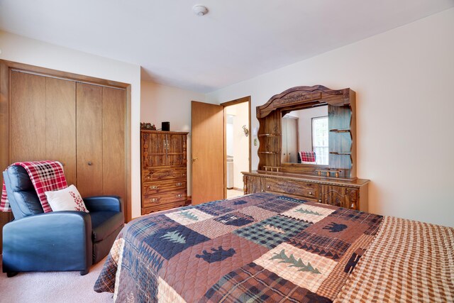 203 Wyomissing Dr, Pocono Lake, PA 18347 - bedroom with a closet and carpet
