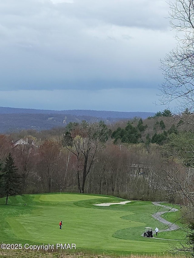 view of community featuring a lawn