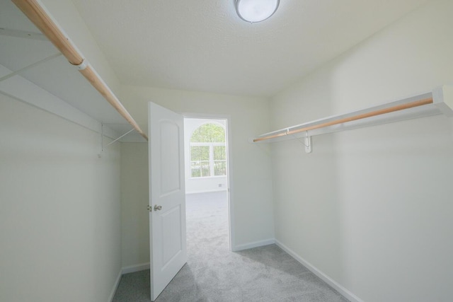 9131 Belvedere Rd # 5021, Tobyhanna, PA 18466 - photo 45
