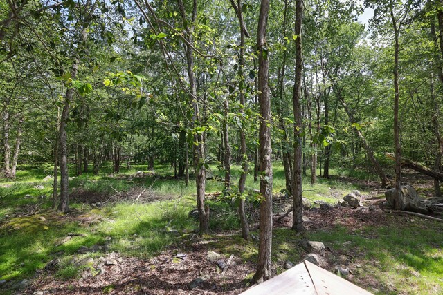 7042 Vista Dr, Tobyhanna, PA 18466 - view of local wilderness