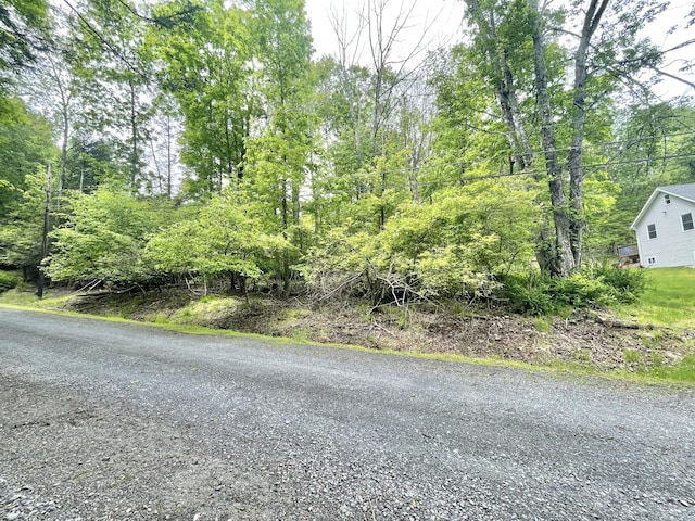 233 Vista Rd, Cresco, PA 18326 - view of asphalt road