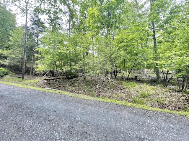 233 Vista Rd, Cresco, PA 18326 - view of asphalt street