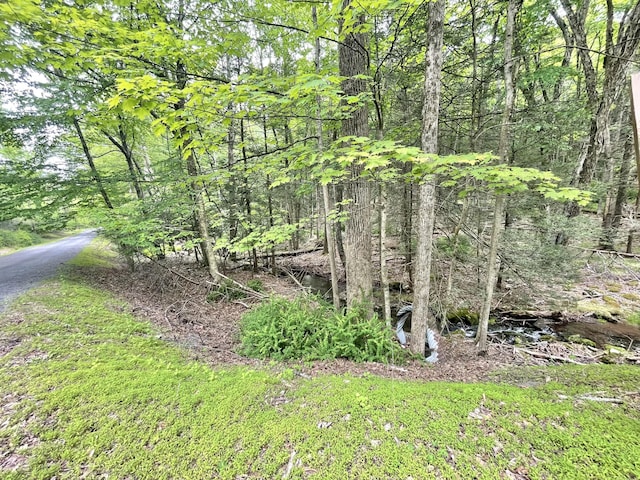 233 Vista Rd, Cresco, PA 18326 - view of nature
