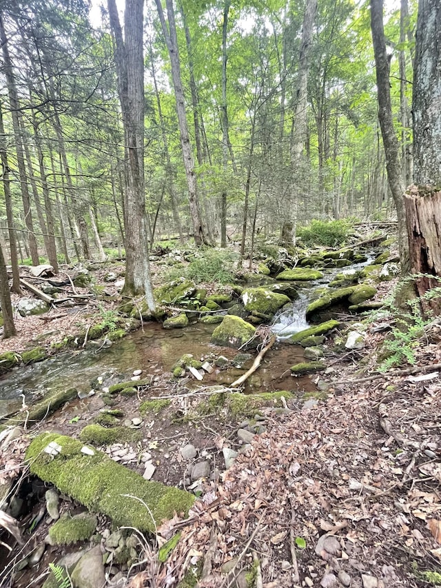 233 Vista Rd, Cresco, PA 18326 - view of woods