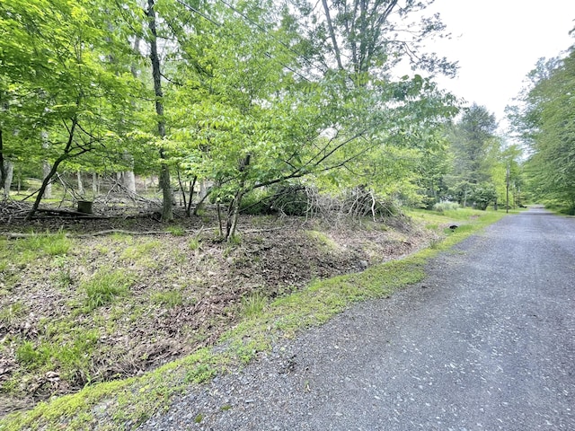 233 Vista Rd, Cresco, PA 18326 - view of road