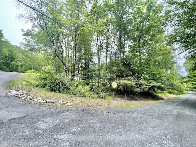 233 Vista Rd, Cresco, PA 18326 - view of asphalt street