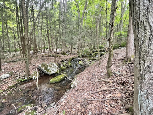 233 Vista Rd, Cresco, PA 18326 - view of tree filled area