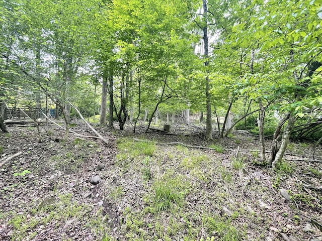 233 Vista Rd, Cresco, PA 18326 - view of local wilderness