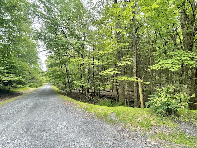 233 Vista Rd, Cresco, PA 18326 - view of asphalt road featuring a view of trees