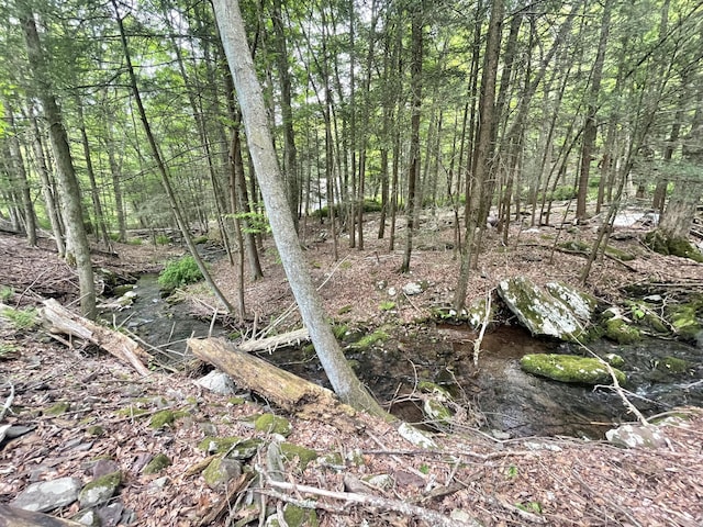 233 Vista Rd, Cresco, PA 18326 - view of wooded area