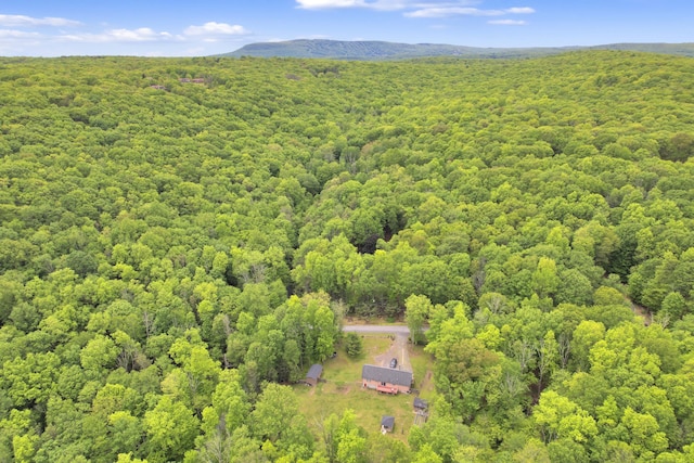 233 Vista Rd, Cresco, PA 18326 - aerial view of a heavily wooded area and a mountainous background