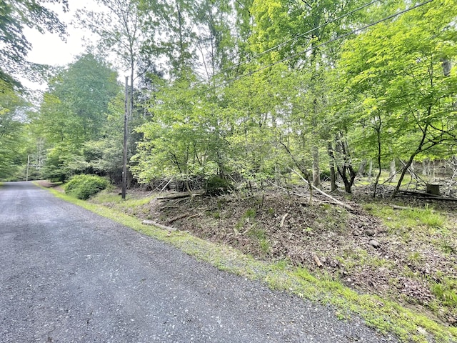 233 Vista Rd, Cresco, PA 18326 - view of asphalt street