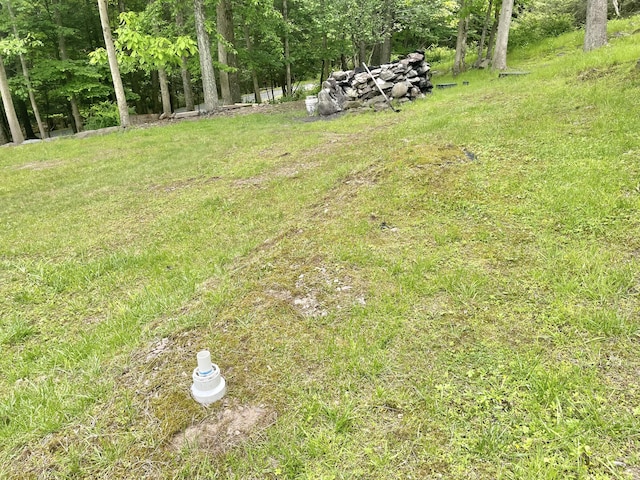 233 Vista Rd, Cresco, PA 18326 - view of yard