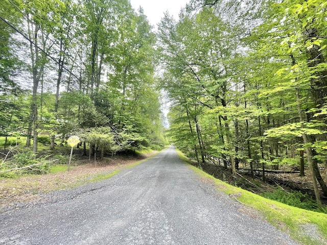 233 Vista Rd, Cresco, PA 18326 - view of asphalt street