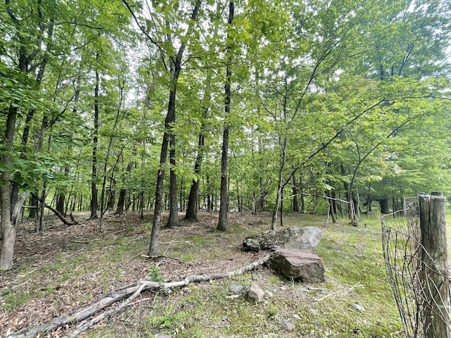 233 Vista Rd, Cresco, PA 18326 - view of yard with a view of trees