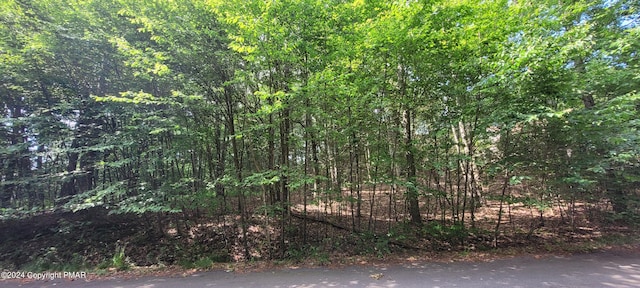 H17 Wolf Hollow Rd, Lake Harmony PA, 18624 land for sale