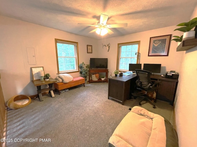 96 Spencer Ln, Albrightsville, PA 18210 - photo 20
