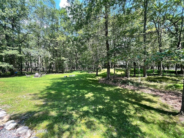 96 Spencer Ln, Albrightsville, PA 18210 - photo 30