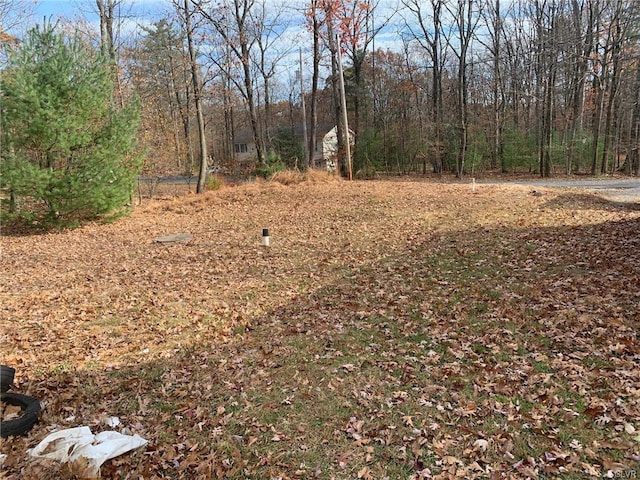 view of yard featuring a wooded view